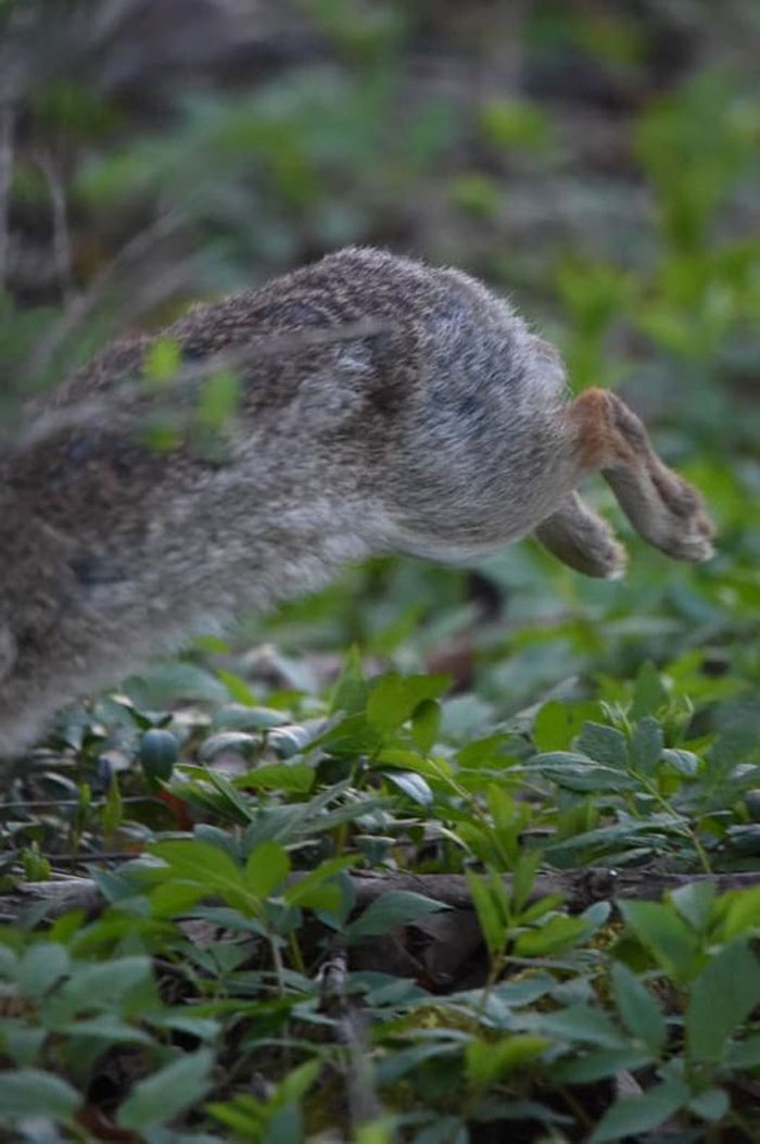 Almost But Not Quite