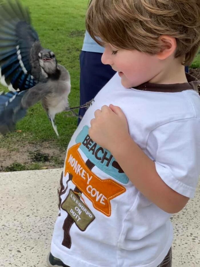 My Son And His Surprise Friend. He Said His Gift From God. He Loves Animals
