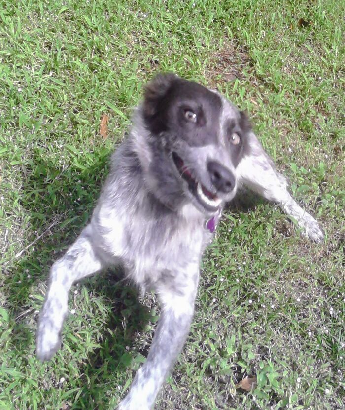 Kirra Engaging Warp Drive