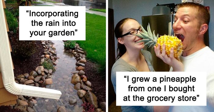 50 Times People With A Green Thumb Shared Some Awesome Gardening Ideas