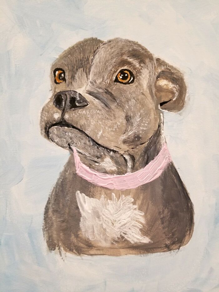 My Sisters Dog Gemma