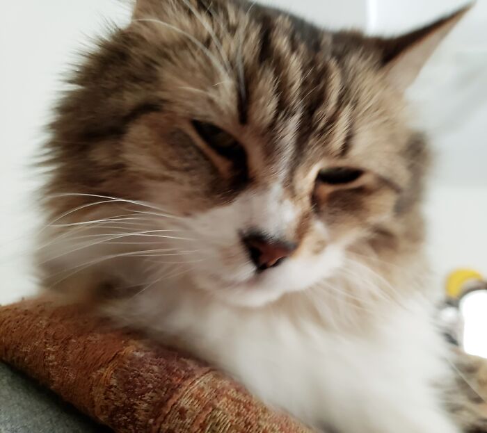 Stumped That He Couldn't Get The Trout Pout Filter To Work