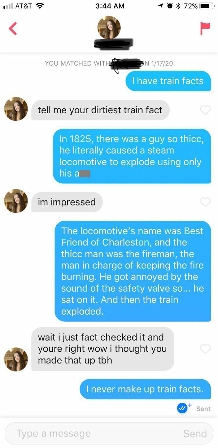 Tinder chat screenshot of people talking about train facts 