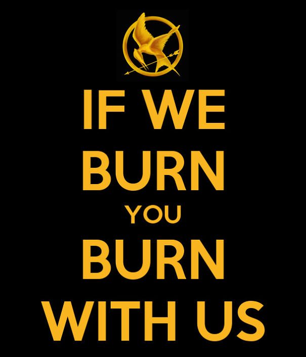 if-we-burn-you-burn-with-us-12-609d655e73096-png.jpg