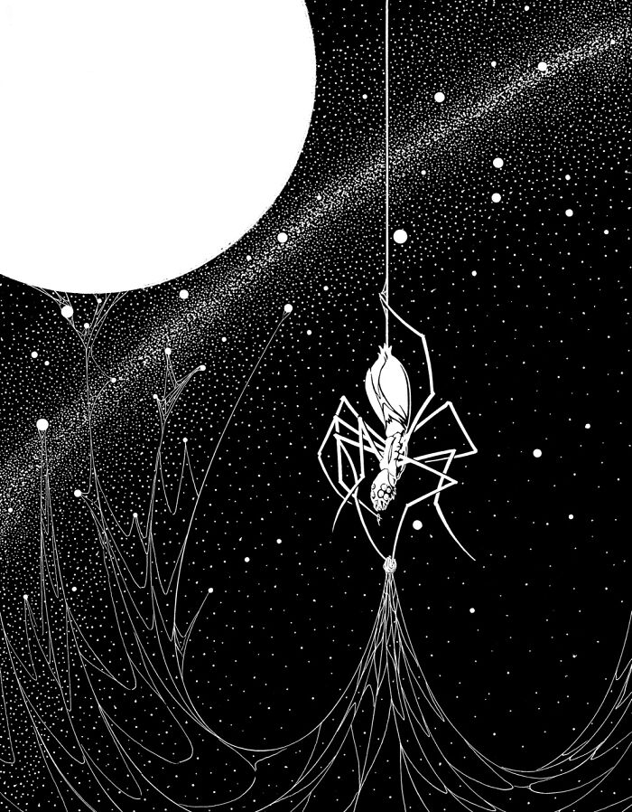 Pen And Ink, No Photoshop Except To Remove The Red Pencil Lines. I Like Spiders;)