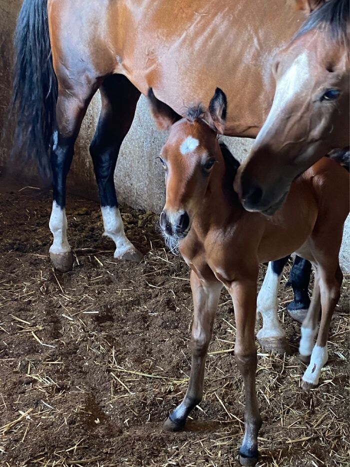 Welcome To The World, Lil Dude