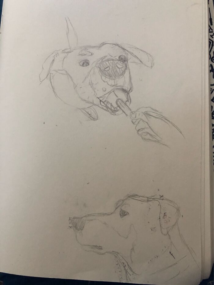 Of My Doggo A Bit Ago
