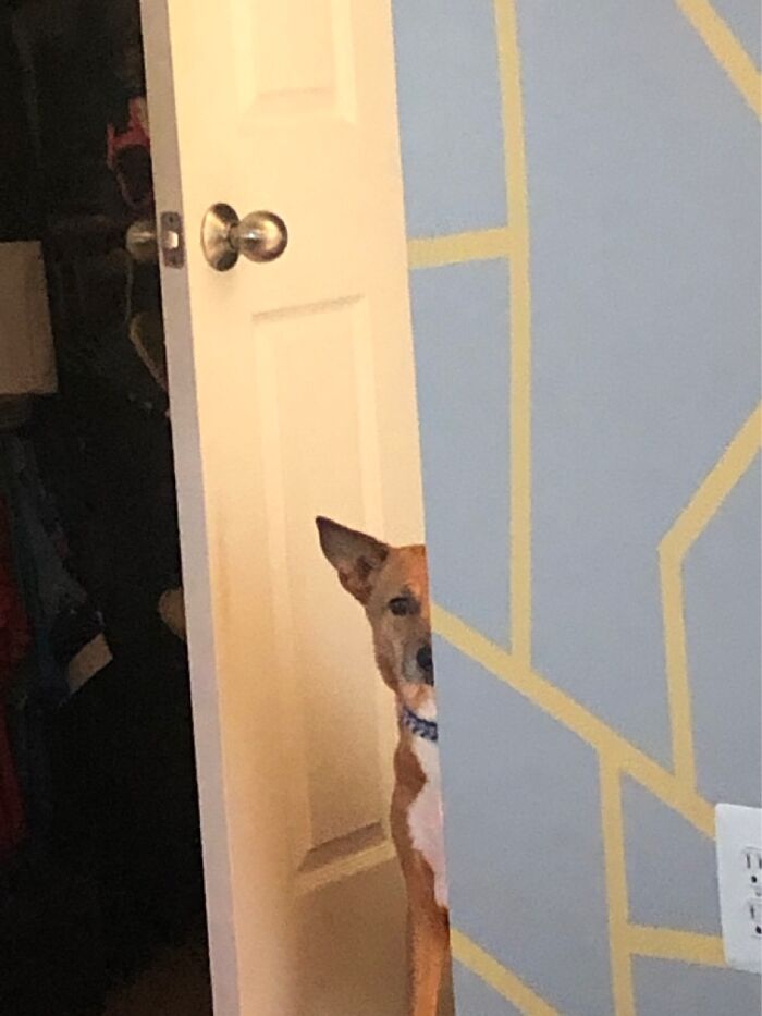 When You Know You F’ed Up And It’s Only A Matter Of Time