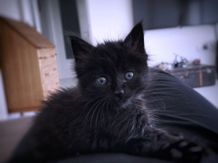 I Love This Picture Of Him. It Is As If He Will Start Talking Any Time Now. :)