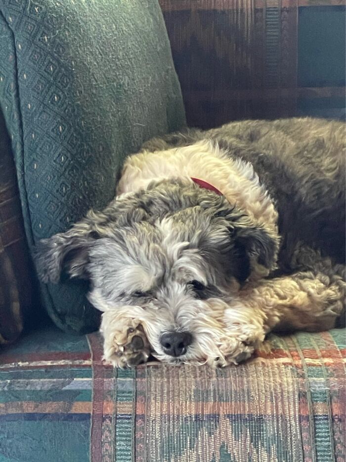 Skye - Teeter Towards Melancholy, Require Daily Naps, Somewhat Introverted. You?