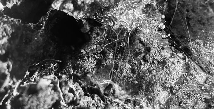 I’ve Probably Posted This On Bp A Million Times But: