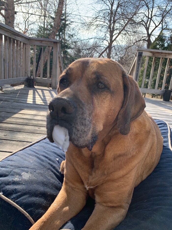 Didn’t Want To Eat The Ice Cube. Just Hold It.