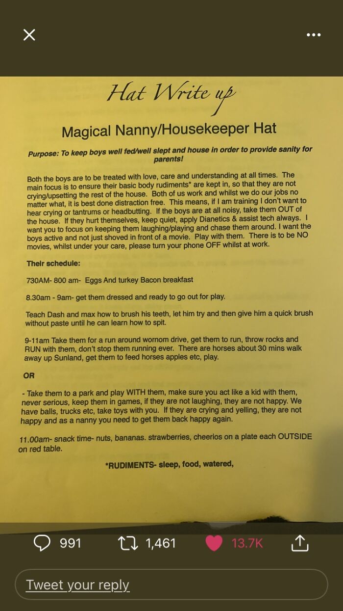 Woman Gets Crazy List Of Nanny Requirements