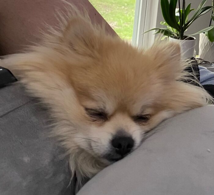 Ruprecht. Comfort. Zone