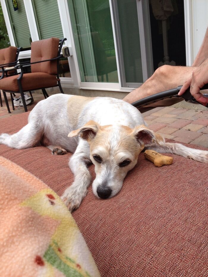 My Sweet Lewis, We Miss Him So Much