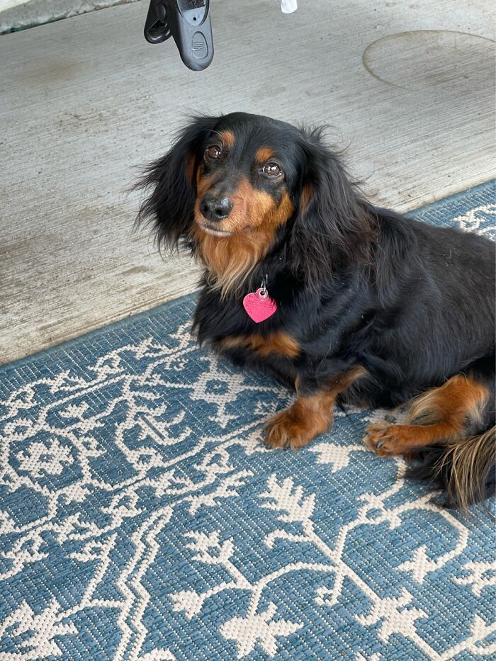 This Is Puffy Tutu Or Mr Puffy