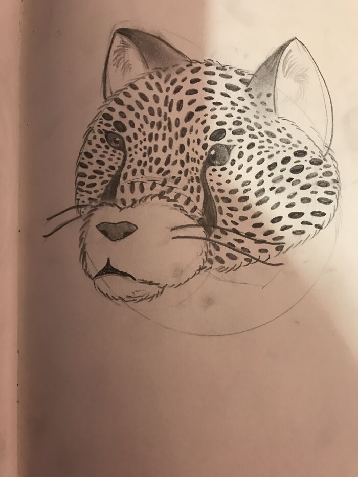 Cheetah