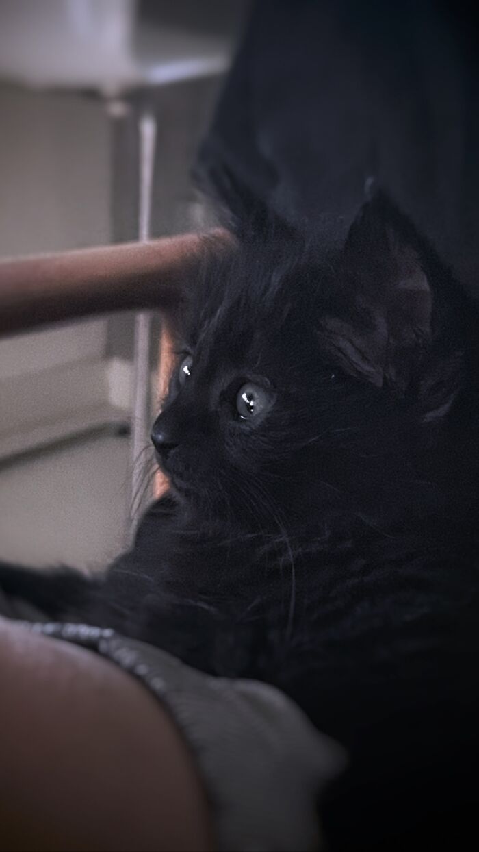 He Was Trying To Make It Look Like It Is Not!