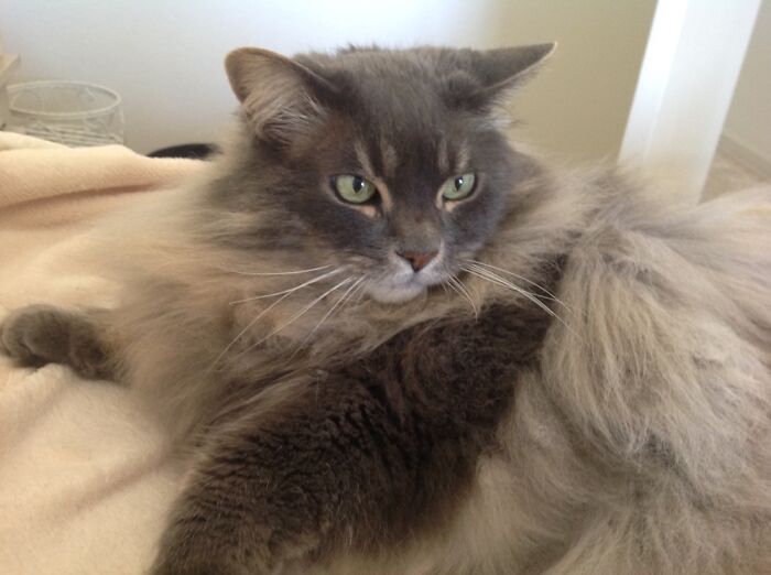 “Don’t Hate Me Because I’m Beautiful...”