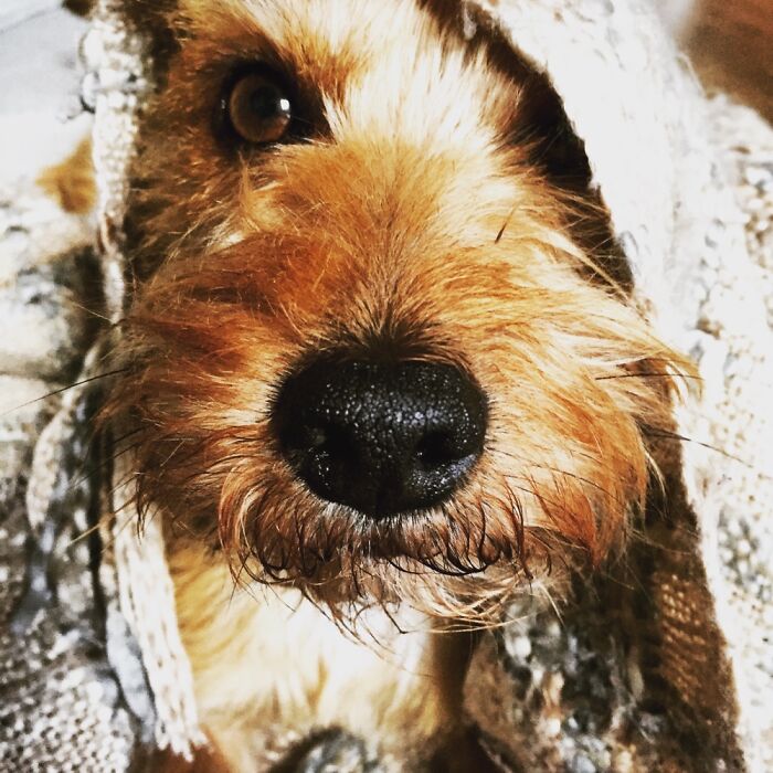 When You’re Just Trying Out New Looks...