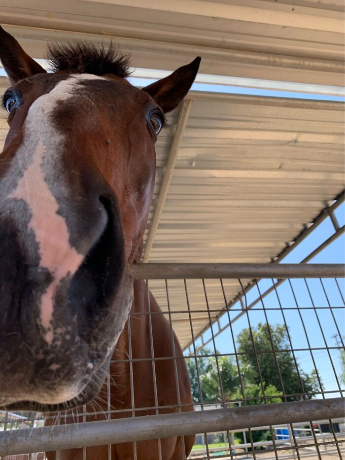 When Your Arms Aren’t Long Enough To Get Your Full Face!