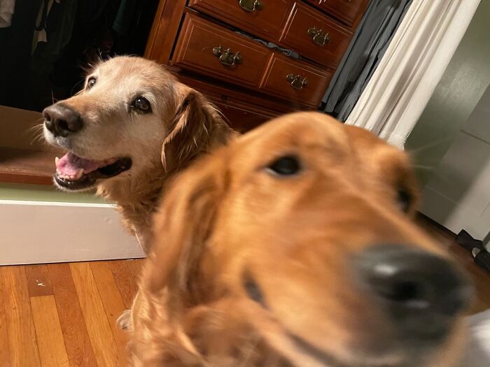 Me And My Big Brother