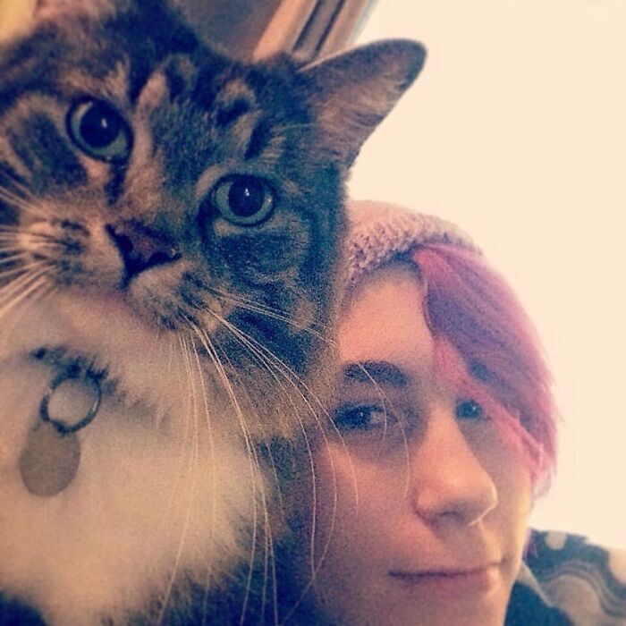 Mr Brown Saying « this Is My Human »