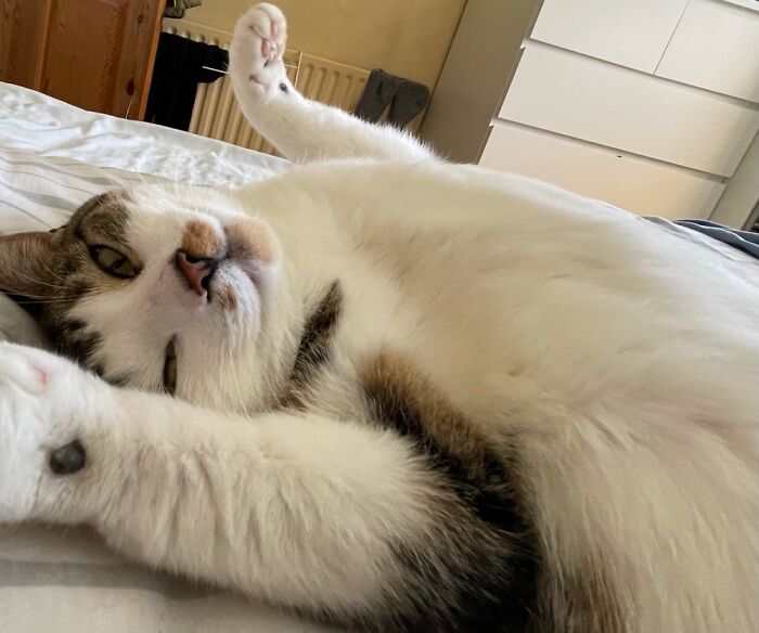 I Are So Pretty...:))))