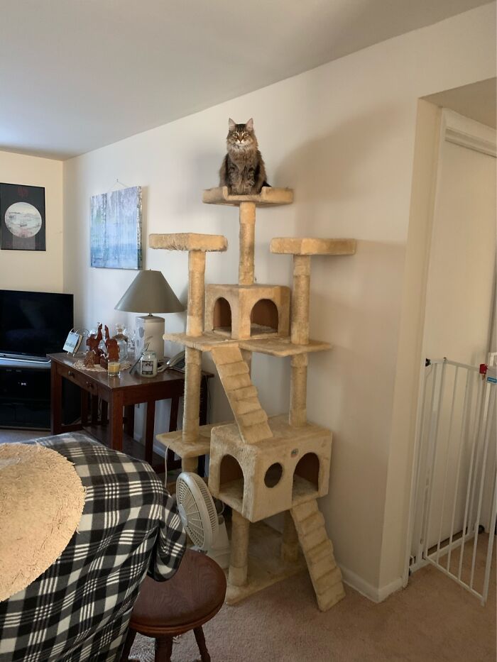 I Am Queen Of All That I See!