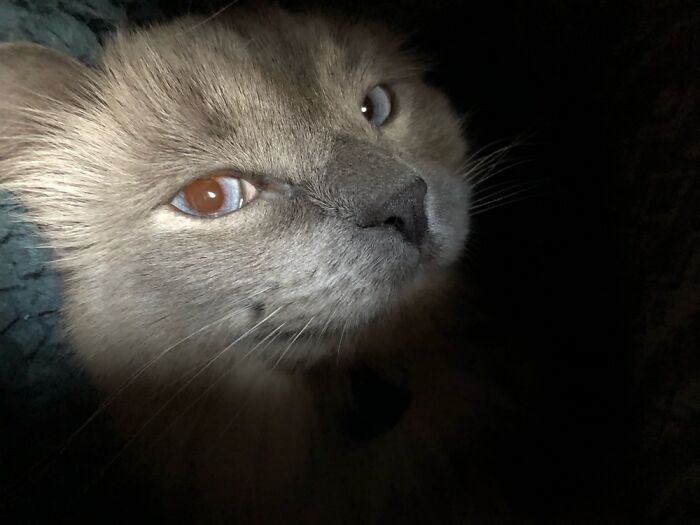 Under The Blanket Pic