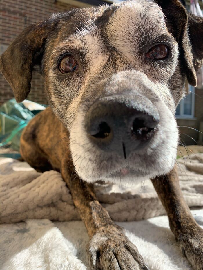 Showing The World I’m A Good Girl