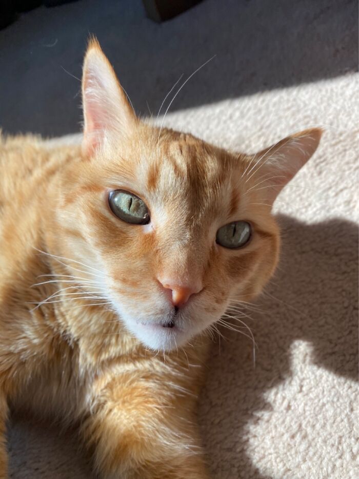 Awesome’s Selfie Game Is Strong