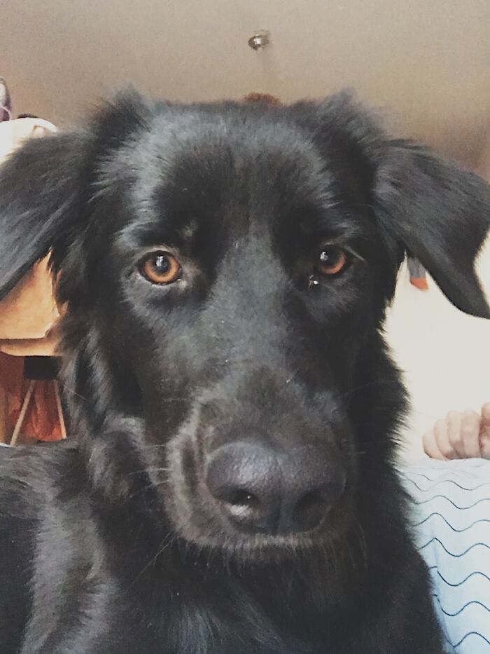 Wanna Eat That Nose!