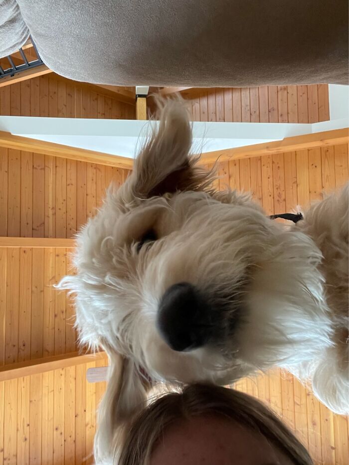 Hey! Who’s That Handsome Devil 😈