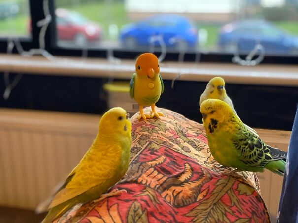 A Important Meeting With The New Leader 🤣🤣🤣