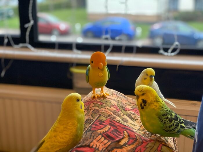 Meeting The New Leader