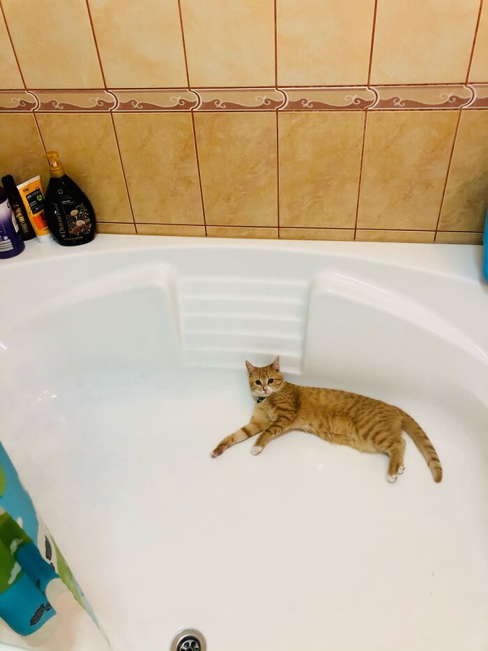 Draw Me Like One Of Your French Girls