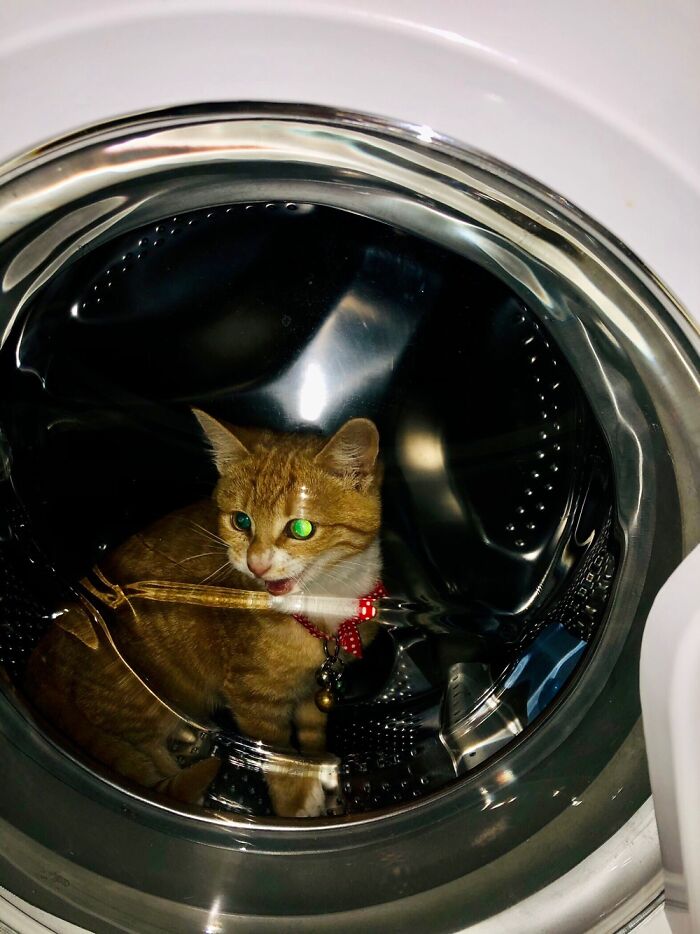 Houston, We Have A Problem