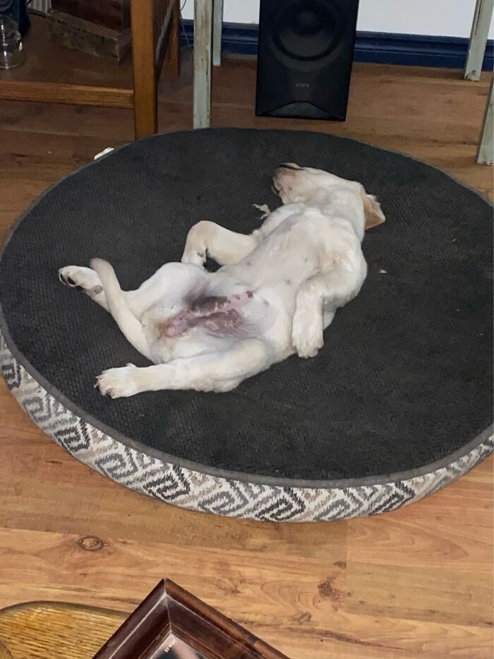 Billie At 5 Am - This Is Beauty Sleep!!