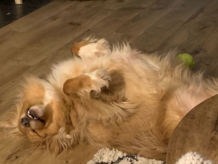 He Regularly Sleeps Like This.