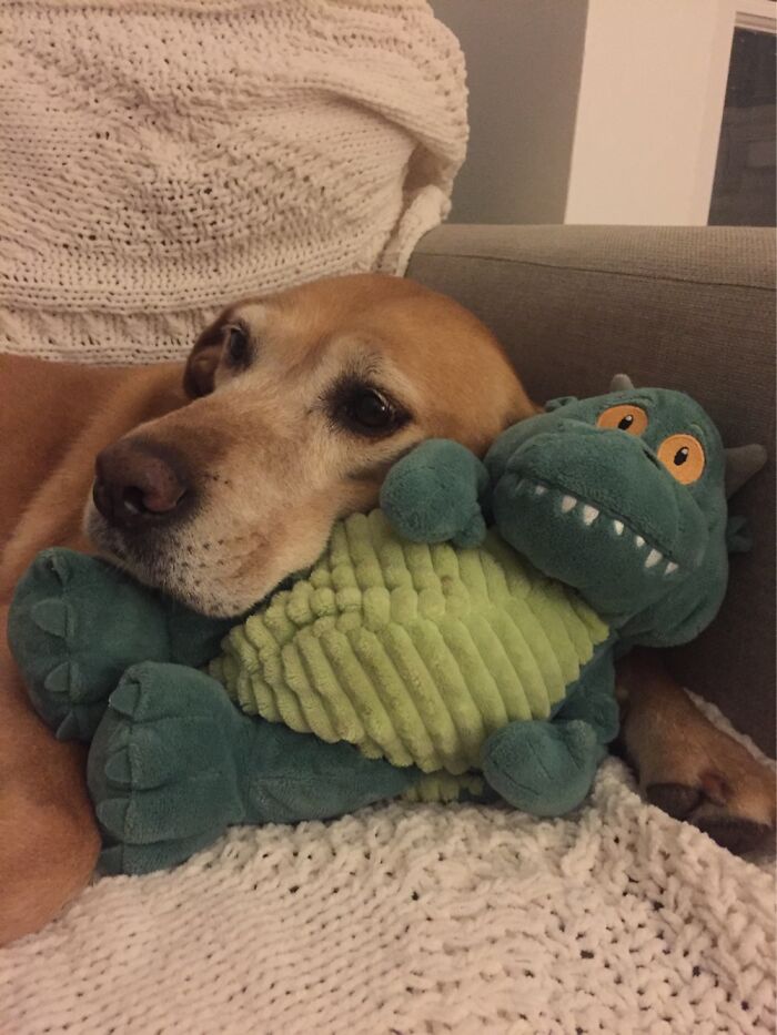 Lottie Loves Edgar. Edgar Is Not Sure About Lottie.