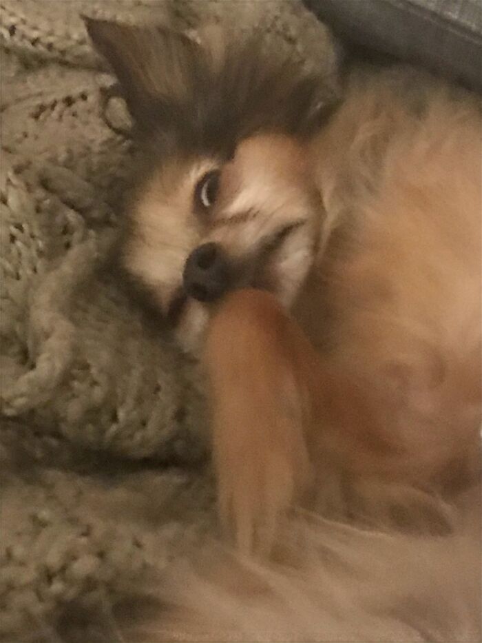 Half Asleep, Half Awake