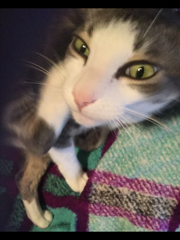 “What Are You Looking At?”