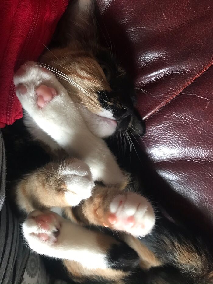 How Is This Even Possible?