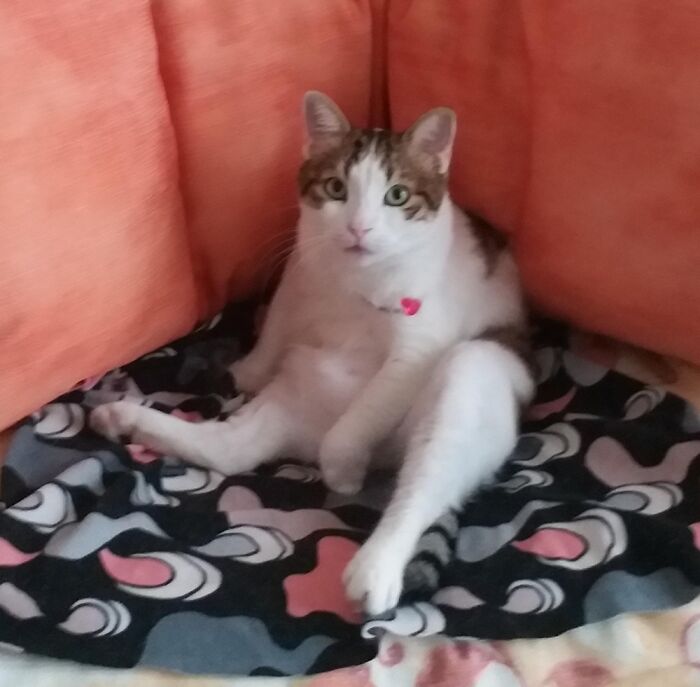 What Are You Looking At? I Am Busy Here..!!