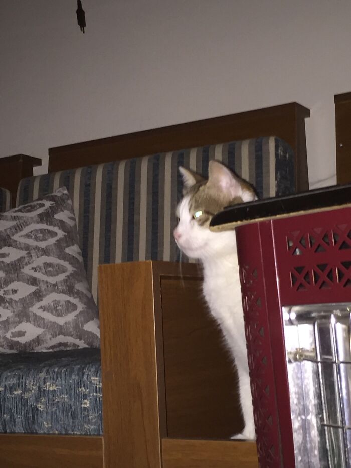 I Must Take Revenge!!!!