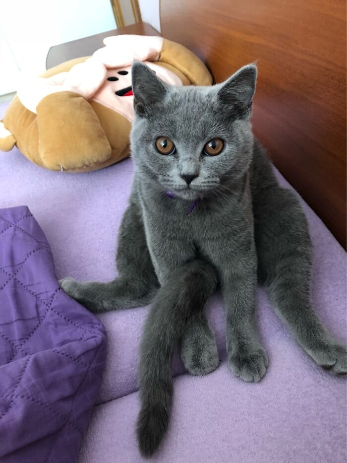 Such A “Lady” ;)