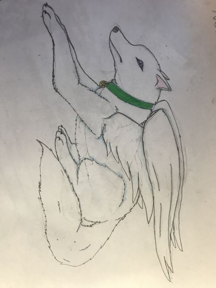 Main Character For My New Book On Wattpad (It’s Called Number 59)