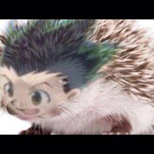 tylerjohnson_2 avatar