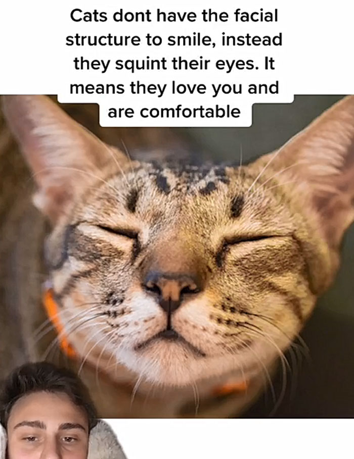 Guy Promises To Give Cat Facts You Didn't Know, Delivers 22 Interesting Ones
